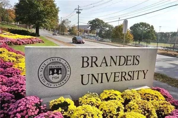 布兰迪斯大学 Brandeis University